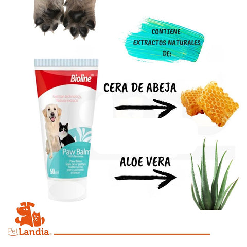 Pack Hygiene Dog
