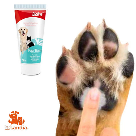Pack Hygiene Dog
