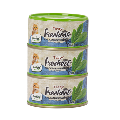 Pack 12 Latas Salmón Y Té Verde Tasty Freshest + Bolita