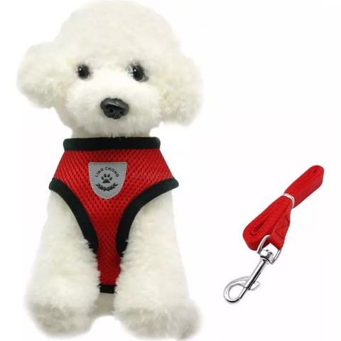 Arnés Con Correa Ultra Ligero Anti-escape Para Gato O Perro Talla L