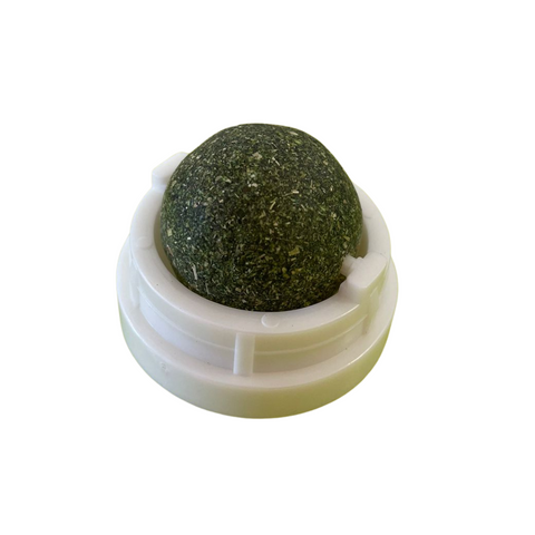 Pack Crunchy Omegas 6 Unidades + Bolita De Catnip