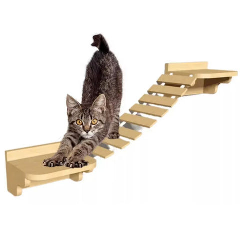 Gimnasio Para Gatos Gym Kitty Cat