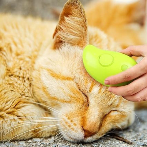 Cepillo De Vapor Para Perros y Gatos 3 En 1, Masaje Para Mascotas