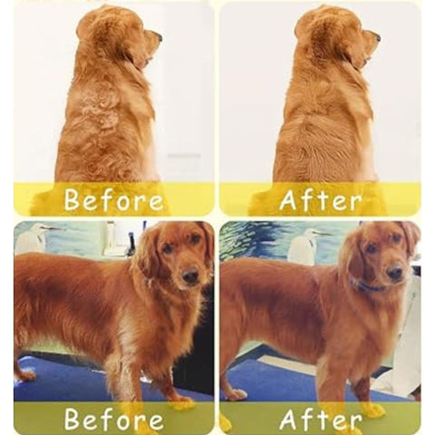 Cepillo De Vapor Para Perros y Gatos 3 En 1, Masaje Para Mascotas