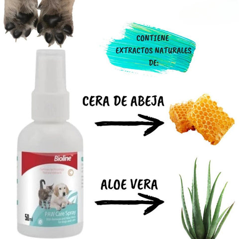 Pack Hygiene Dog