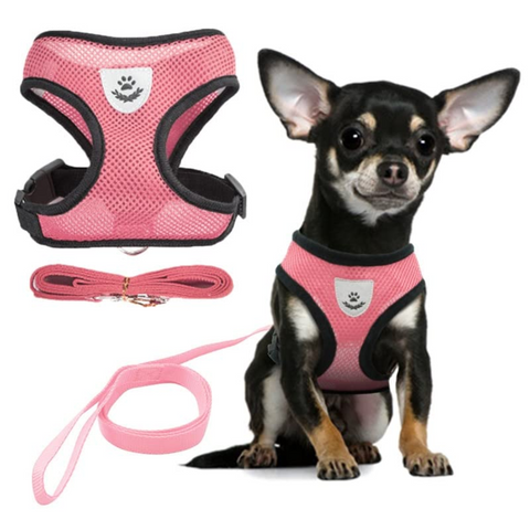 Arnés Con Correa Ultra Ligero Anti-escape Para Gato O Perro Talla L