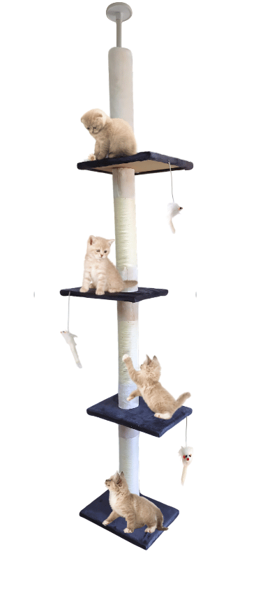 Rascador de piso a techo 4 niveles 2.85 Mt. para gatos