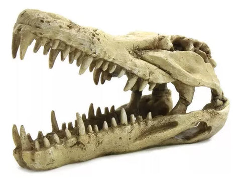 Adorno Para Acuario Diseño De Cráneo Animal