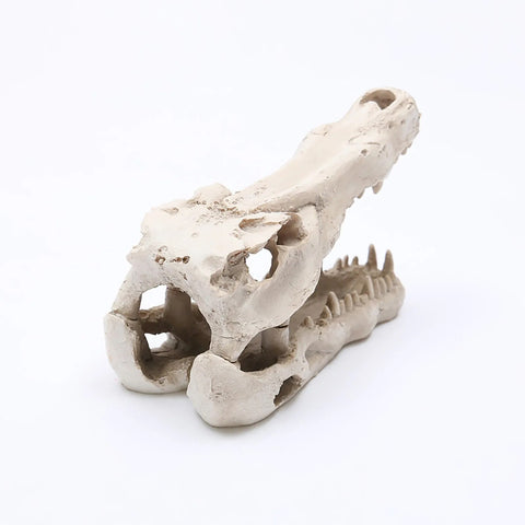 Adorno Para Acuario Diseño De Cráneo Animal