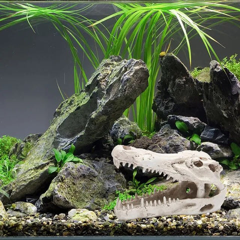 Adorno Para Acuario Diseño De Cráneo Animal