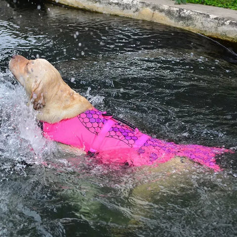 Flotador Para Mascotas Diseño De Sirena Y Tiburón