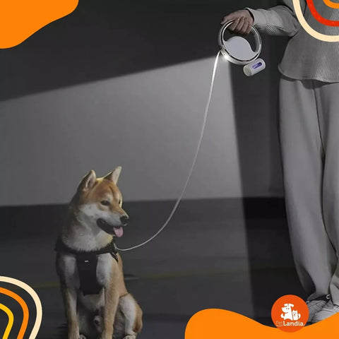 Correa Retráctil Con Luz Led Para Mascotas Recargable