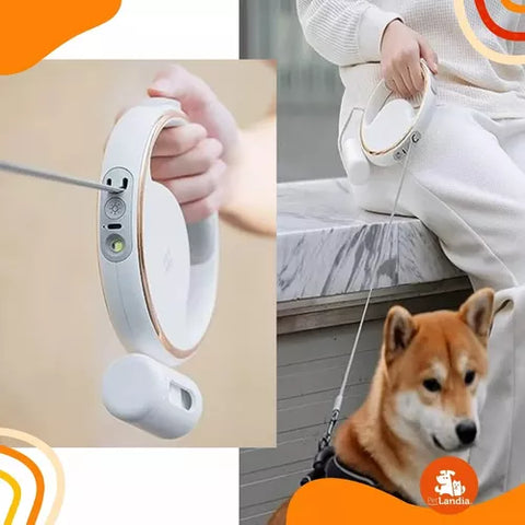 Correa Retráctil Con Luz Led Para Mascotas Recargable