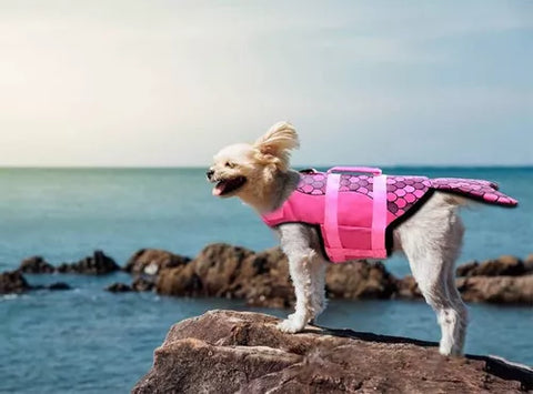 Flotador Para Mascotas Diseño De Sirena Y Tiburón