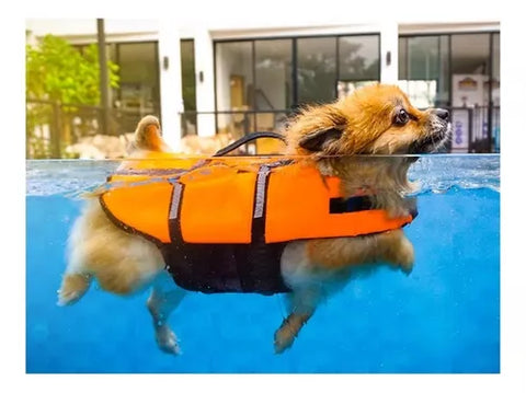 Flotador Para Perro Talla Xs Perros De 3-7 Kilos