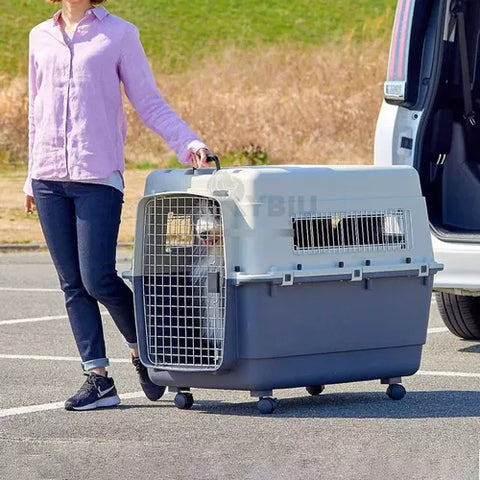 Transportadora Kennel Travel Para Perros Gato Xxl