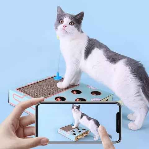 Rascador Interactivo Para Gatos Con Palancas De Juego