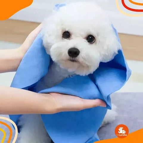 Toalla Super Absorbente Bioline Mascotas Perros Y Gatos