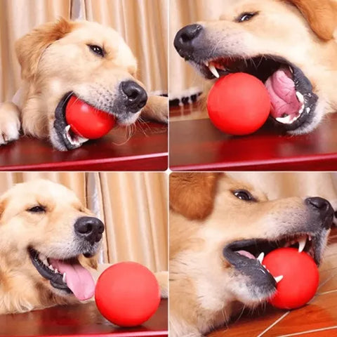 Juguete Warrior Bola De Alta Densidad 8 Cm Para Perros