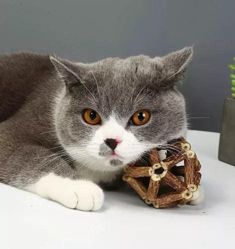 Jaula De Catnip Stick Con Bola De Hierva Gatera 12 Cm