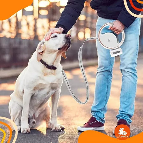 Correa Retráctil Con Luz Led Para Mascotas Recargable