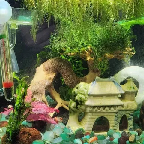 Adorno De Acuario Drift Wood Diseño De Árbol Bonsái Mediano