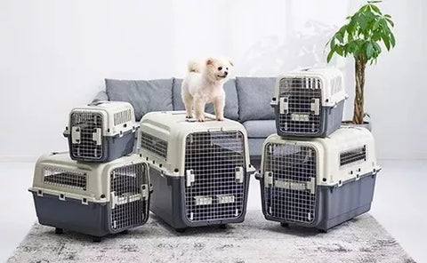 Transportadora Kennel Travel Para Perros Y Gatos S