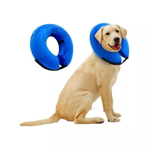 Collar Isabelino Inflable Xl Para Perro, Gato