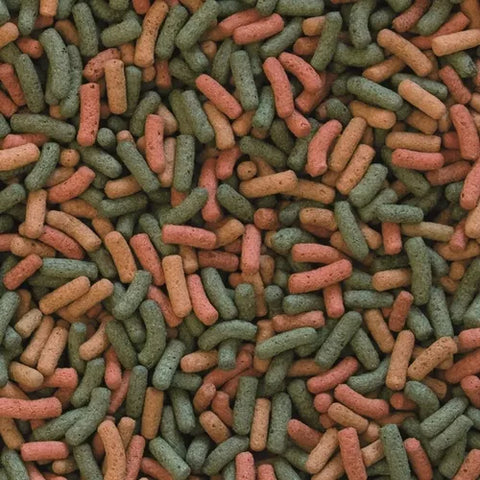 Biorept Alimento Para Tortugas Tropical 75gr Petlandiachile