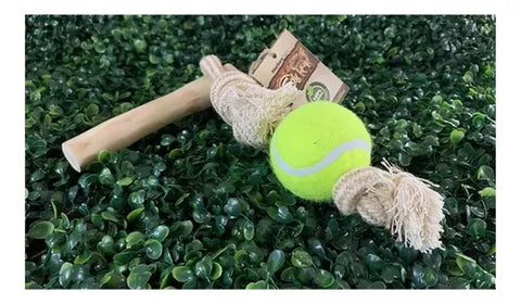Palo De Madera De Café Arábica Y Pelota Woody Para Perro M