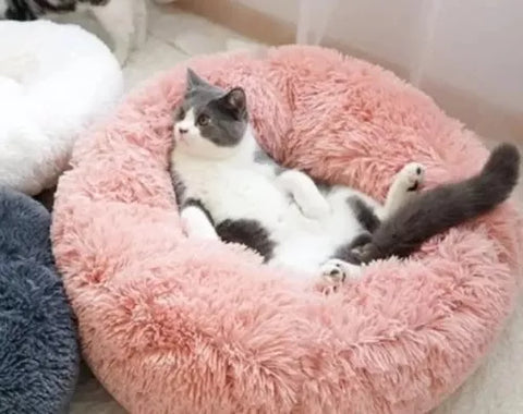 Cama Para Mascota Perro O Gato De Felpa 40 Cm