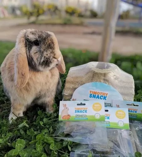 Snack Figuras De Timothy Para Conejos Y Roedores 3 Unidades