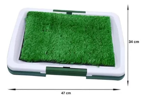 Baño Sanitario Para Perro Pequeño