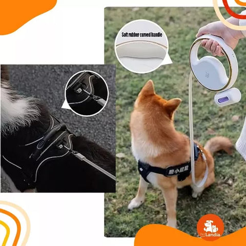 Correa Retráctil Con Luz Led Para Mascotas Recargable