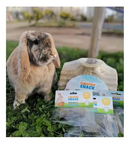 Snack Palitos Timothy Para Conejos Y Roedores