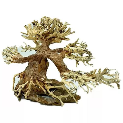 Adorno De Acuario Drift Wood Diseño De Árbol Bonsái Mediano