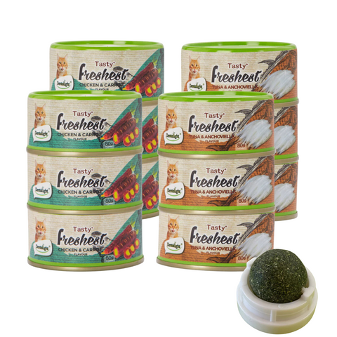 Pack 12 Latas Anchoa Y Zanahoria Tasty Freshest + Bolita