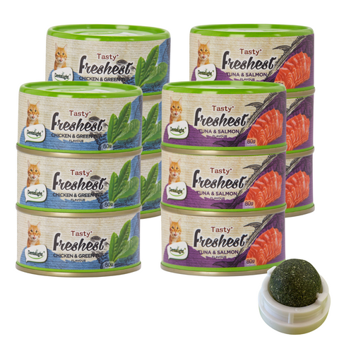 Pack 12 Latas Salmón Y Té Verde Tasty Freshest + Bolita