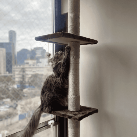 Rascador de piso a techo 4 niveles 2.85 Mt. para gatos