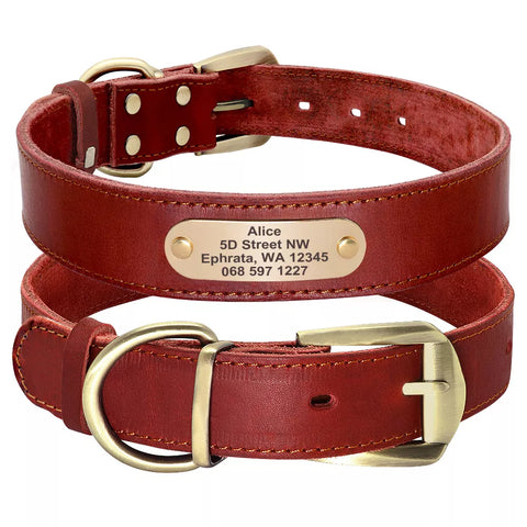 Collar De Cuero Para Perro Con Placa Personalizable