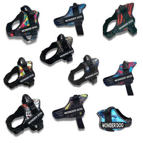 Arneses para perros