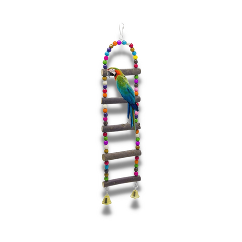 Escalera para aves