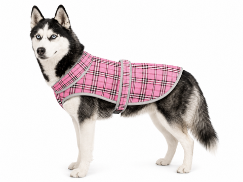 Parka Rombal para Perros