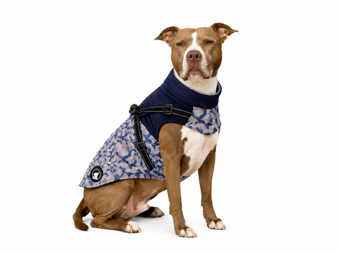 Parka Camo para Perros