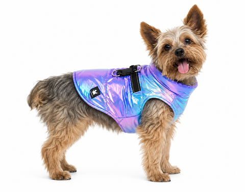 Parka Galaxy para Perros