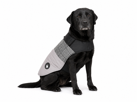 Chaqueta con Cuadros para Perros
