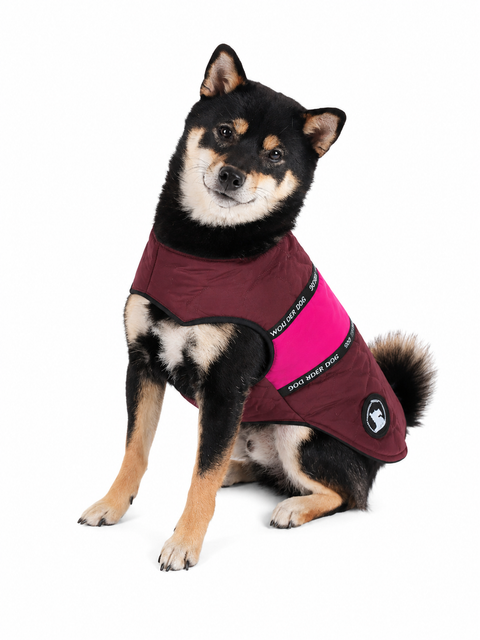 Parka Diamond para Perros