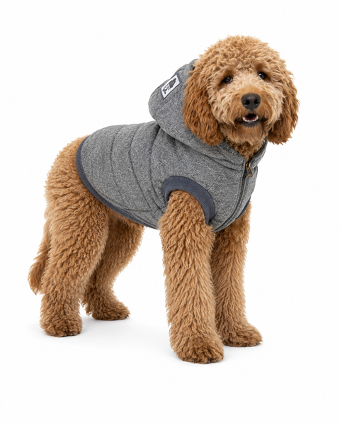 Parka Winter Acolchada para Perros
