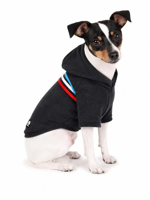 Polerón Sport para Perros