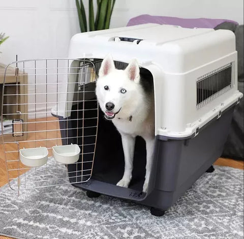 Transportadora Kennel Travel Para Perros Gato Xxl